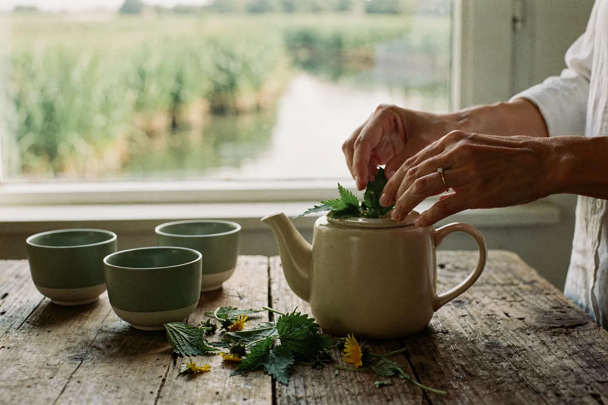 Tisane d'ortie et de pissenlit préparée sur une table en bois, face au marais.